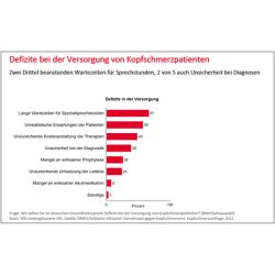 Mehr Kopfschmerzexpertise gewünscht