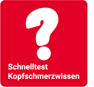 logo schnelltest 320